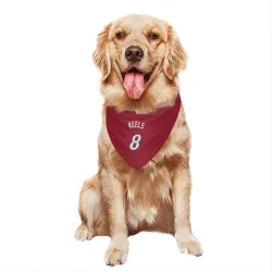 Miami Heat Trevor Keels Red Pet Bandana for Dog & Cat