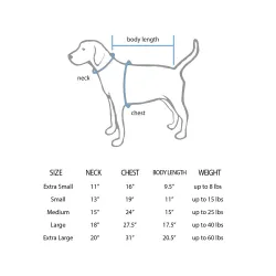 Miami Heat Trevor Keels White Pet Jersey for Dog & Cat